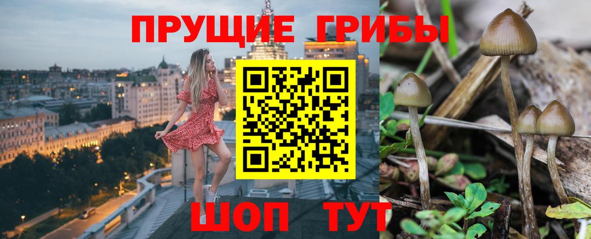 Псилоцибиновые грибы MAGIC MUSHROOMS  Галлюциногенные грибы Psilocybine cubensis  Протвино  Вход с VPN 